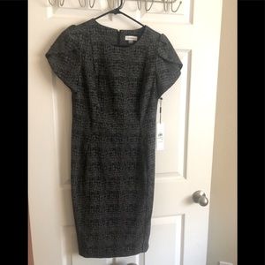 Calvin Klein Shift Work or Date Dress